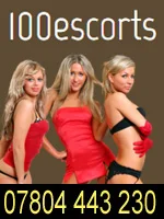 Agency 100 Escorts