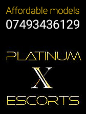 Agency Platinum X Escort